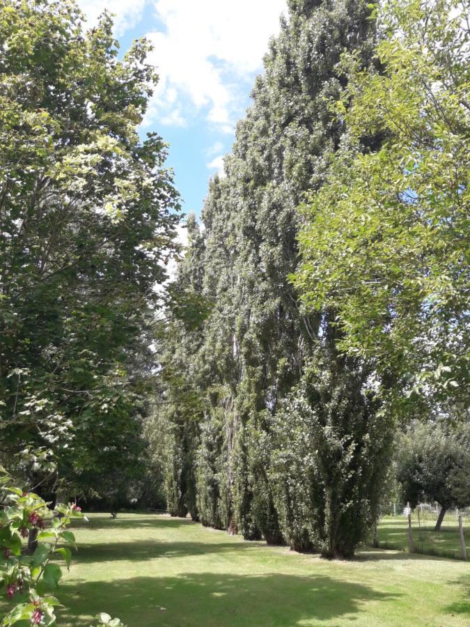 Logis De Lange Studio 2 P Saint-Hilaire-la-Palud Luaran gambar
